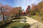 Spy Pond Park in autumn