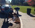 Volunteers collected street leaves to prevent catch basin clogs and storm water floods.