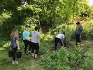The Matignon H. S. students watered the newly planted trees at the edge of Spy Pond Park on the Minuteman Trail embankment