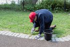 A volunteer dug out weeds between the cobblestones on the last 2019 workday
