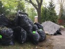 Volunteers filled dozens of bags with invasive plants.