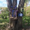 A new Fairy box by Peggy Fenner appeared this spring in the same spot on the three branched tree overlooking the Linwood entrance to Spy Pond Park.