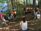 Scouts removed English Ivy, an invasive plant, when the “other side” of Spy Pond got a facelift on Spy Pond Trails Day.