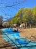 Spy Pond Park playground neared completion the end of April, just missing having the swings installed with everyone hoping for a May 1st opening.