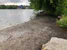 Arlington’s Department of Public Works removed murky, natural debris from Linwood Beach June 20-23. The pond was lowered to protect the endangered sedge at the water’s edge while they cleaned up the area.