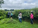 In July, People Making a Difference® workers trimmed bushes and cut down invasive growth.