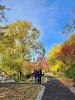 Karen L. Grossman, FSPP President, walked through Spy Pond Park with her friends Mary and Lidia (photographer) to see Spy Pond and the beautiful fall foliage October 28, 2022.