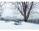 The beauty of snow falling in SPP December 2024