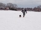 Dog walking on Spy Pond ice-covered snow with a baby on board