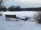 A snowy outlook over ice covered Spy Pond in February 2025