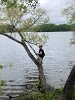 Christopher Wilson wades in the water at the edge of Spy Pond Park to remove fishing line caught in the trees.