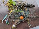 These items Christopher found were improperly discarded and presented a clear danger to wildlife.