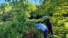 Thanks to People Making a Difference® for their hard work this year trimming bushes so visitors can enjoy the view of Spy Pond and the wildlife.