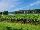 The beautiful view of Spy Pond after PMD® volunteers completed their work trimming the bushes on both sides, from the water and in the park